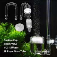 Co2 Diffuser Aquascape