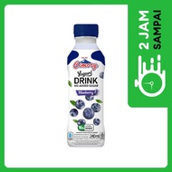 Cimory Yoghurt Zero Blueberry 240 ml