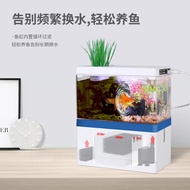 huangjianfei3 Desktop Office Aquarium, nominal bottom filter, non replaceable water bucket, fish tank, and Aquarium Aquariums