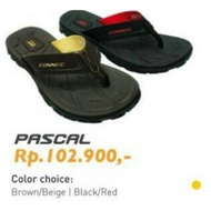 sandal gunung pria connec Pascal original