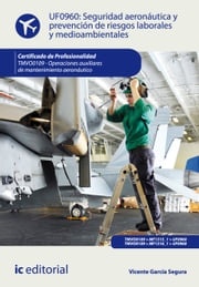 Seguridad aeronáutica y prevención de riesgos laborales y medioambientales. TMVO0109 Vicente García Segura