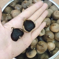 Black garlic box 500g