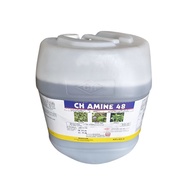 CH AMINE 48 20 Liter Racun Keladi