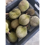 fast delivery Frozen Durian Musang King Tekka D13Golden Bun D24 red prawn Daily Fresh pulp only