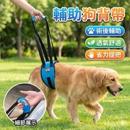 Auxiliary Dog Strap Pet Auxiliary Strap Paralyzed Dog Auxiliary Device