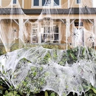 Widow Spider Web Fake White Halloween Props For Haunted House Decoration