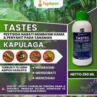 Obat Hama Buah Kapulaga / Obat Semprot Buah Kapulaga / Obat Penyubur Tanaman Kapulaga / Obat Kapulag
