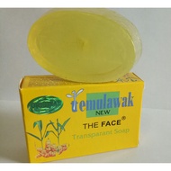 The Face Temulawak Soap New