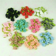 1 Pack of mini Chives Flower Seeds