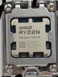 AMD Ryzen 7 7800X3D 大雕體質