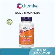 [Fast Shipping] Now Foods Niacinamide (B3) 500 mg, 100 Veg Capsules | Vitamin B3 No Flush, Skin Heal