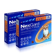 (LICENSE SUPPLIER) NexGard Spectra 6 Chews (2-3.5kg) - Orange - Chewable Flea, Tick and Worm Tablets for Dogs Exp 02/25