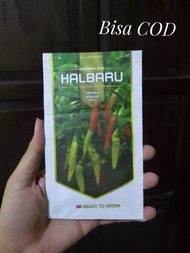 Benih Cabe Rawit Halbaru dari Halbanero isi 10 Gram Tahan Layu