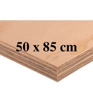 50x85 cm PRE CUT MARINE PLYWOOD