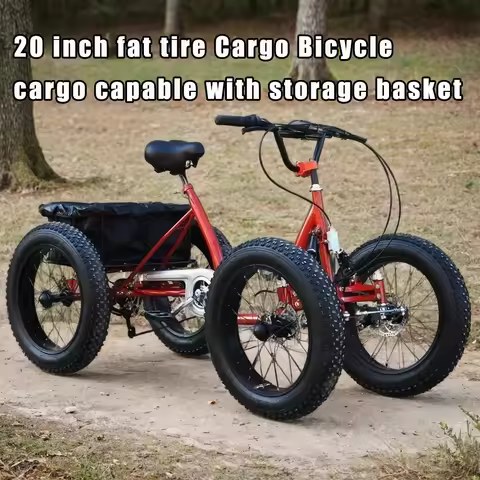 Cargo Bicycle 20inch fat tire 4 wheel snow bike can be used as cargo city travel bicicleta pedal qua