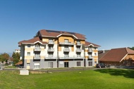 桑昂勒斯貝因斯溫泉別墅酒店 (Villa Thermae Thonon-Les-Bains)