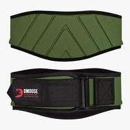 DMoose Fitness Weight Lifting Belt, Comfortable Lumbar & Back Support, Auto Locking Weight Belt to K