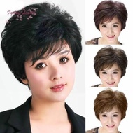 hotsale Wig Wanita Pendek Kerja Rambut Asli Rambut Palsu Wig Natural