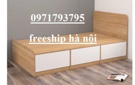 Giường Ngủ Thông Minh 1M2x2m