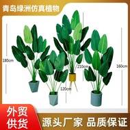 Pisang Pengembara Tiruan Pasu Tanaman Hijau Terlaris Hiasan Rumah Dalaman Kecantikan Tiruan Pisang P