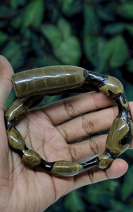 Gelang Akar Bahar Bonggol kualitas terbaik 100% Asli gelang akar bahar hitam asli original gelang ak