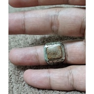 Cincin Permata Teras Pine Cypress/Araucaria