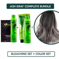 ASH GRAY COMPLETE BUNDLE! Bremod Hair Color &amp; Hair Bleaching Set