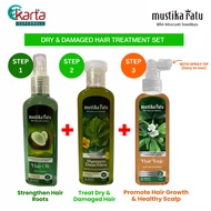 Mustika Ratu Dry & Damaged Hair Treatment Set