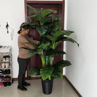 Pokok Wang Tumbuhan Hijau Palsu Lantai Berpasu Ruang Tamu Besar Bonsai Bunga Palsu Hiasan Bunga Plas