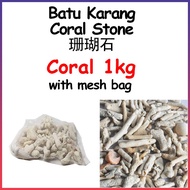 Coral Filter Media Aquarium 1kg Batu Karang Biogical 珊瑚石 [Ready Stock]