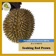 [Klang Valley Only] [Fresh Durian Delivery] 海王红虾榴莲D175 Durian Udang Merah
