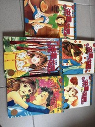 流星花園漫畫書 (全套)