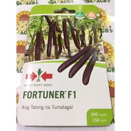 Fortuner F1 Hybrid Eggplant Seeds