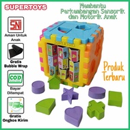 Educational Toys for Babies 2 3 4 5 Years Old Puzzle Blocks Matching Shapes