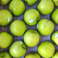 Buah Apel Hijau Granny Smith Fresh Import Original Best Seller