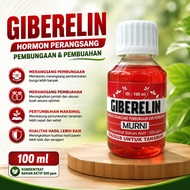 GIBERELIN 100 ML MURNI 500 PPM GIBERLIN
