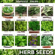 Herbs &amp; Vegetable Seeds Basil Sage Rosemary Thyme Oregano Arugula Parsley Coriander Celery Kinchay