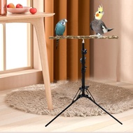 [mcfsnzwtxz1bw] Bird Training Perch Stand Branch Parrot Perches Parrot Stand Parrot Perch Toy for Pa