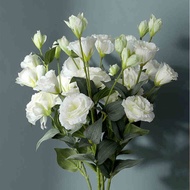 4 head artificial eustoma flower artificial flower dried flower wedding decoration home decoration f