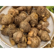 temulawak fresh/hidup 500 gr