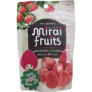 特克塞爾日本未來的果果的未來草莓10克輸入
