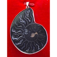 6A Grade Ammonite crystal slab pendant (黑螺)-11.6g