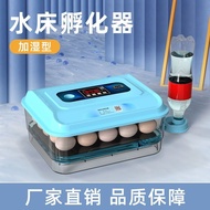 Incubator Small Household Mini Water Bed Incubator Intelligent Thermostatic Chicken Duck Goose Pigeon Egg Incubator csptf2647540298. My4.9