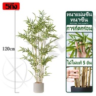 🎍สีไม่จางลง50ปี🎍ต้นไม้ปลอม ต้นไม้ปลอมใหญ่ ต้นไผ่ ต้นไผ่ปลอม ต้นไม้ปลอมสวยๆ 12ใบ/106ซม เสียบกระถางได้