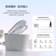 Smart Toilet Household Integrated Automatic Sterilization Toilet Instant Siphon Waterless Pressure Limiting Toilet