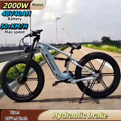 Electric bicycle Nathaniel SYR09 dual motor 2000W 48V 40Ah off-road electric bike 26*4.0 fat tire al