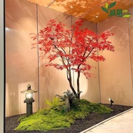 Landscaping Fake Tree Large-Scale Tree Maple Leaf Green Maple Simulation Red Maple Tree Modeling Tre