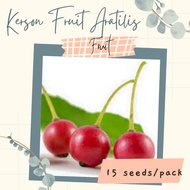 KERSON FRUIT ARATILIS Seeds (15 seeds) for Planting / Gardening