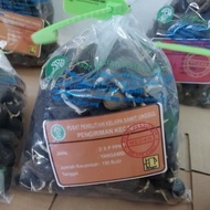 bibit sawit ppks yangambi kualitas nomor satu original