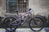 -中年大叔-GIANT LIV INTRIGUE PRO REIGN/Specialized/Trek/Scott